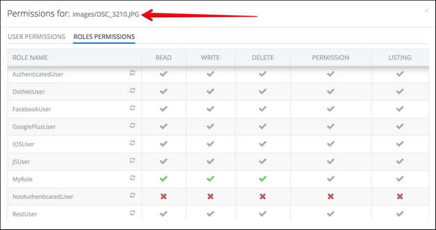 files-role-permissions.zoom70