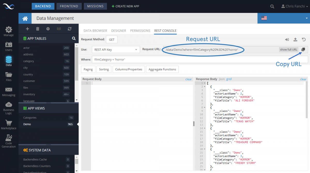 Views REST Console Example with SQL