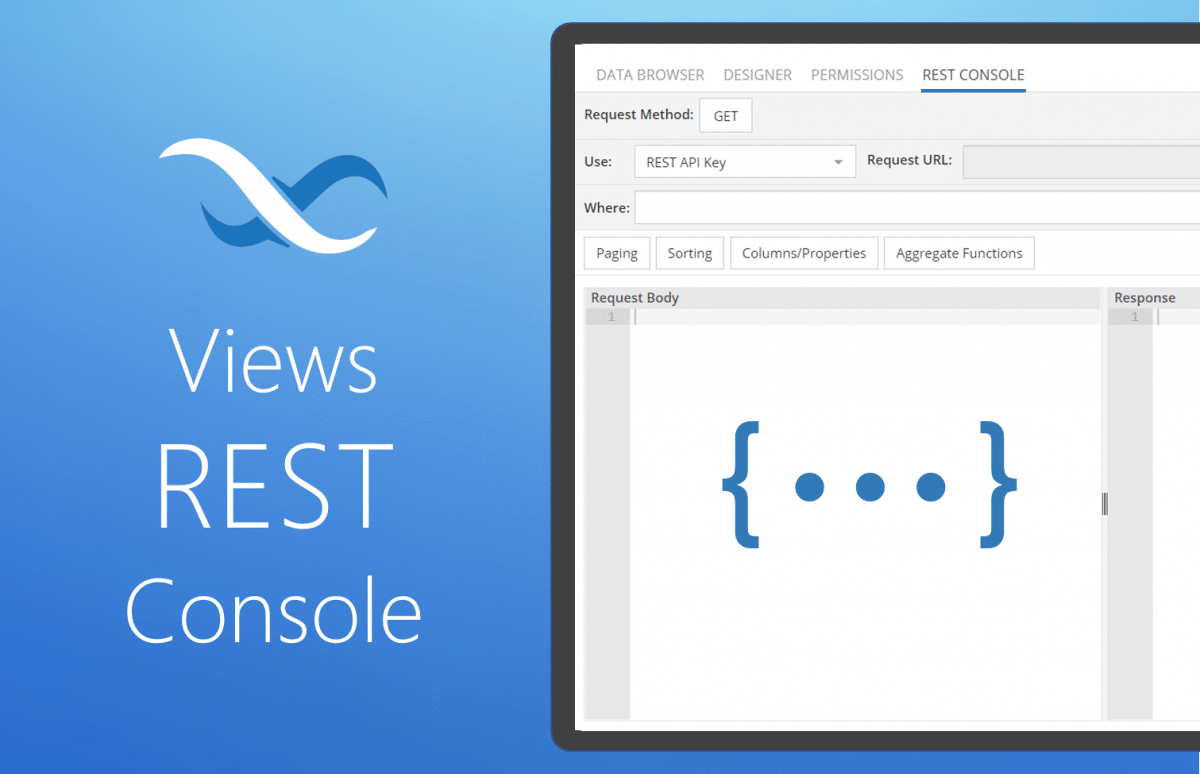 Views REST Console Feature