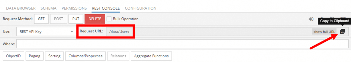 API request URL endpoint in REST Console