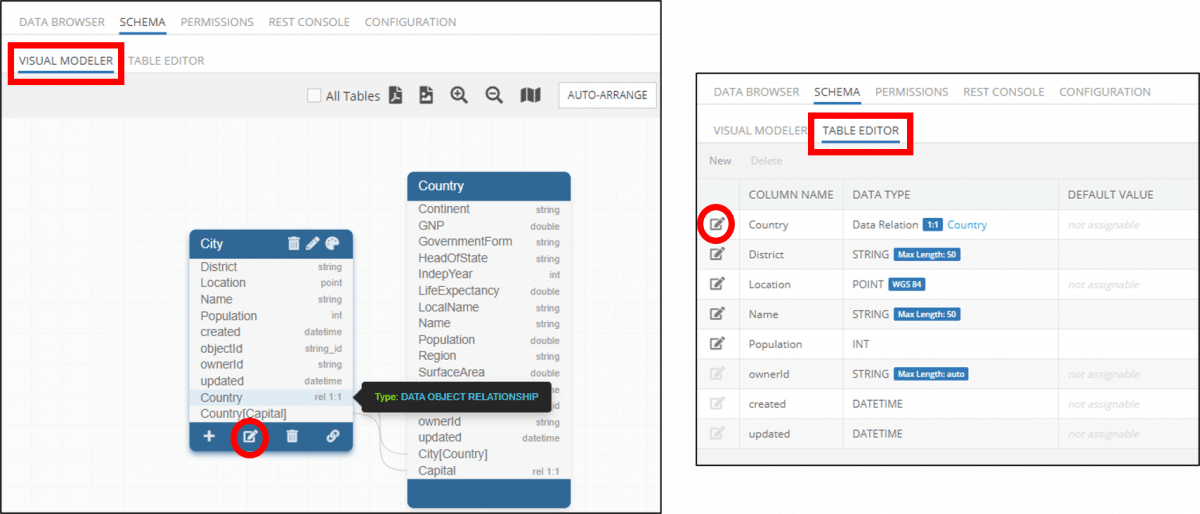 How to Edit Visual Data Relations ID Column