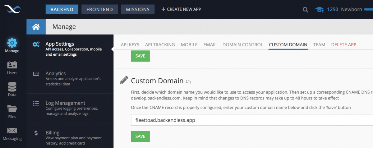 Set Custom Subdomain in Backendless Console