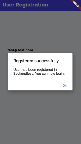 Successful user registration test